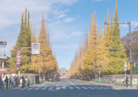 2024年12月8日 (日) 東京・明治神宮外苑 いちょう並木